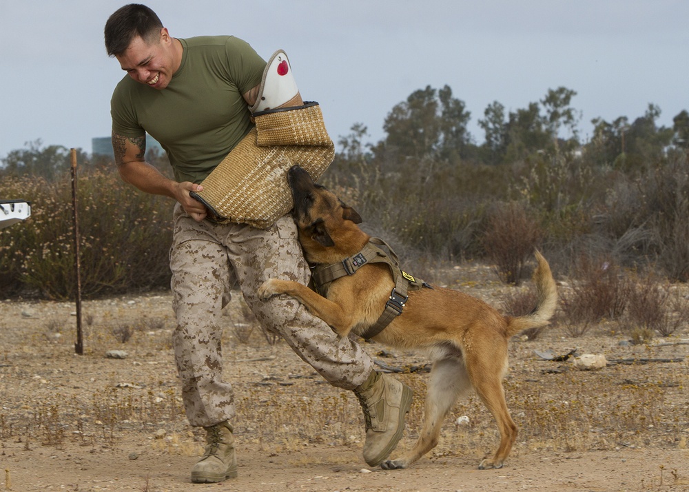 Lil’ Leathernecks learn about military lifestyle