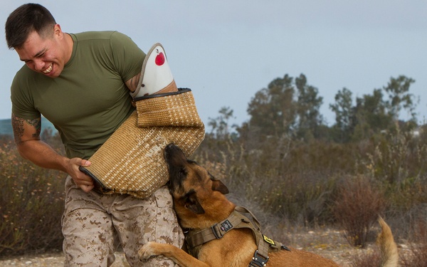 Lil’ Leathernecks learn about military lifestyle