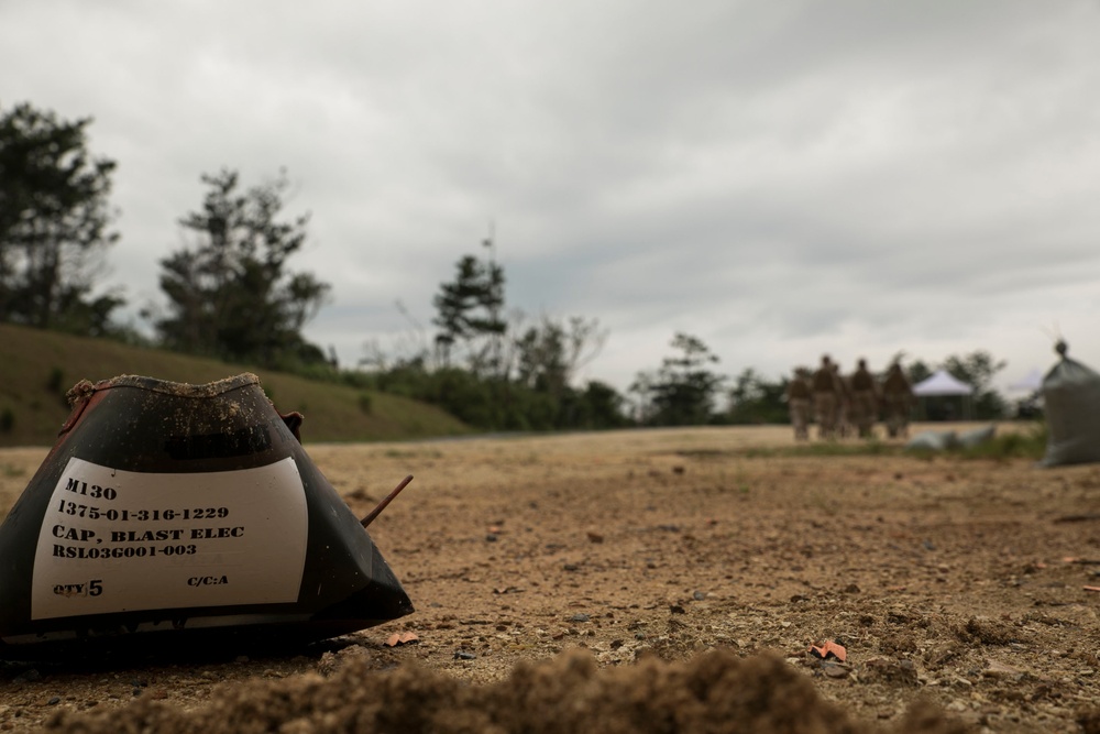 Seabees, Marines spend day as EOD techs