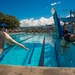 Rim of the Pacific (RIMPAC) 2014 Swim Meet