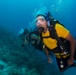 US Navy divers and Belizean Coast Guard divers work together during Southern Partnership Station '14