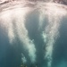 US Navy divers and Belizean Coast Guard divers work together during Southern Partnership Station '14