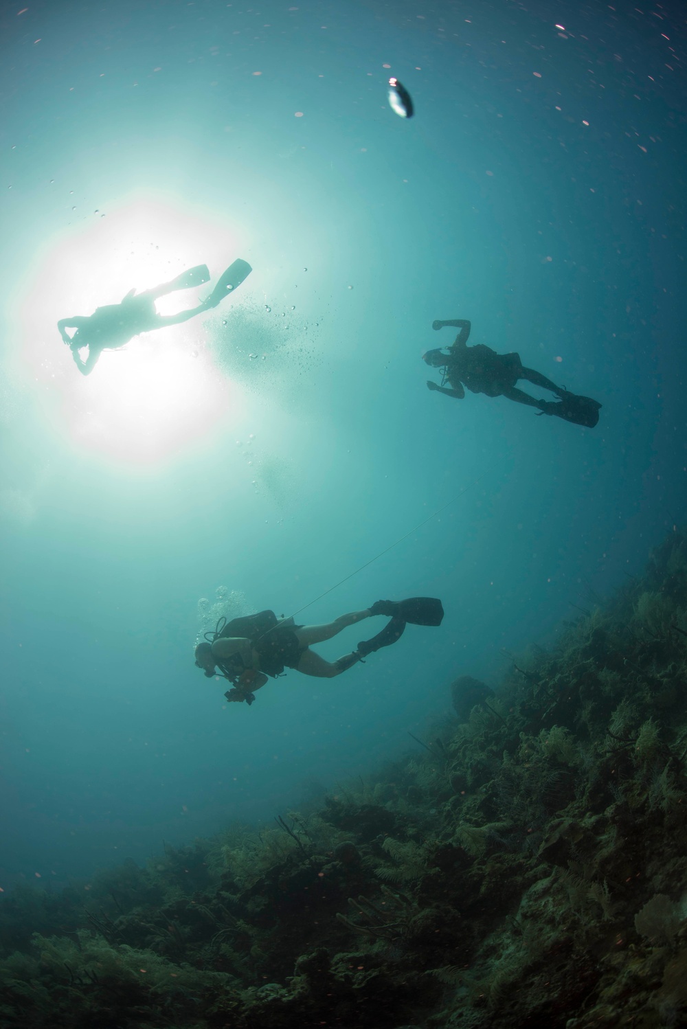 US Navy divers and Belizean Coast Guard divers work together during Southern Partnership Station '14