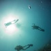 US Navy divers and Belizean Coast Guard divers work together during Southern Partnership Station '14