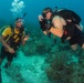 US Navy divers and Belizean Coast Guard divers work together during Southern Partnership Station '14