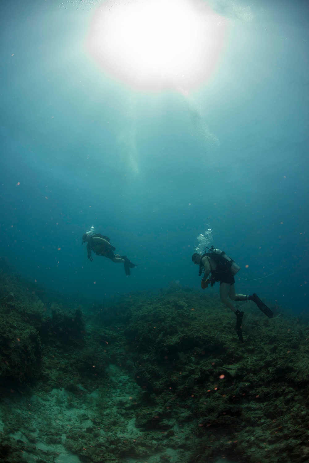US Navy divers and Belizean Coast Guard divers work together during Southern Partnership Station '14