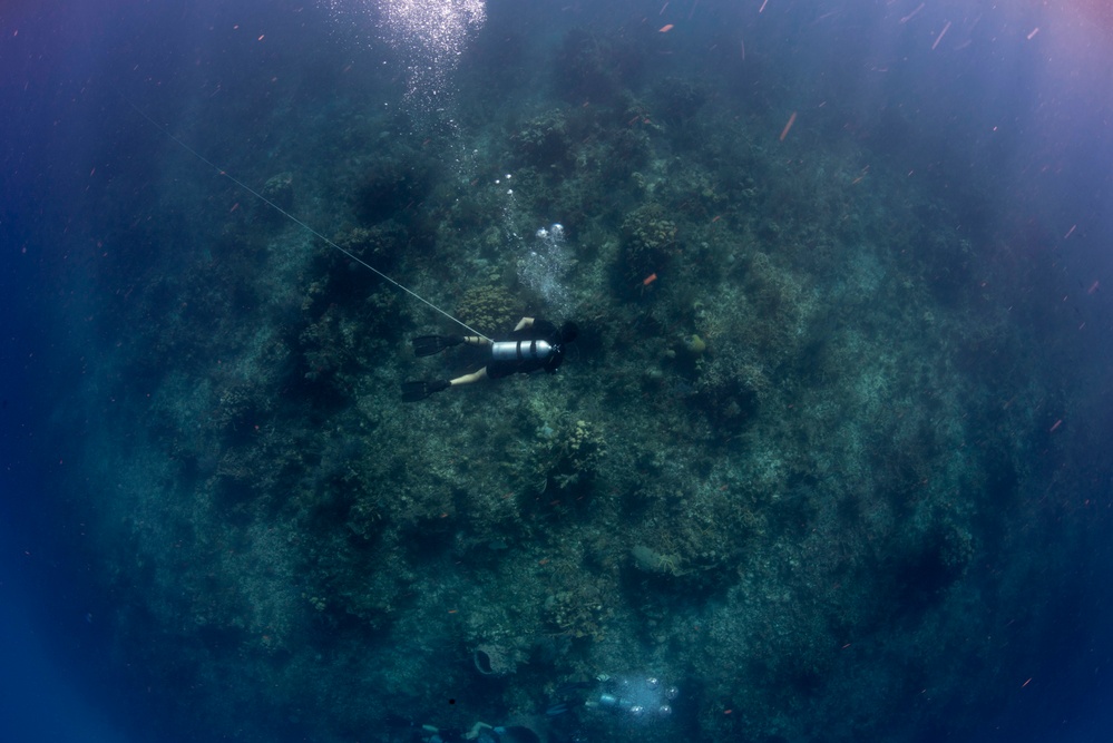 US Navy divers and Belizean Coast Guard divers work together during Southern Partnership Station '14