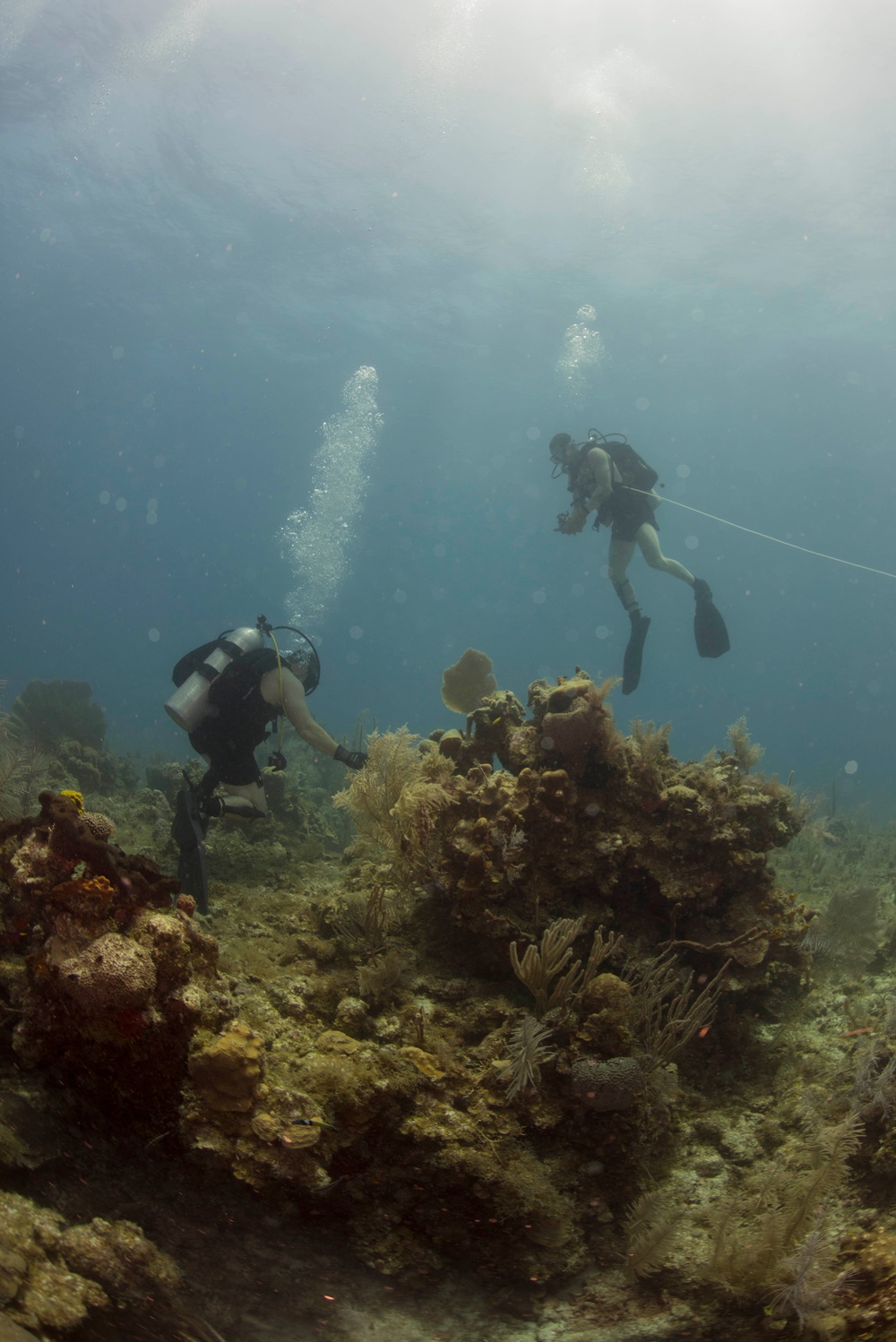 US Navy divers and Belizean Coast Guard divers work together during Southern Partnership Station '14