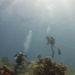 US Navy divers and Belizean Coast Guard divers work together during Southern Partnership Station '14