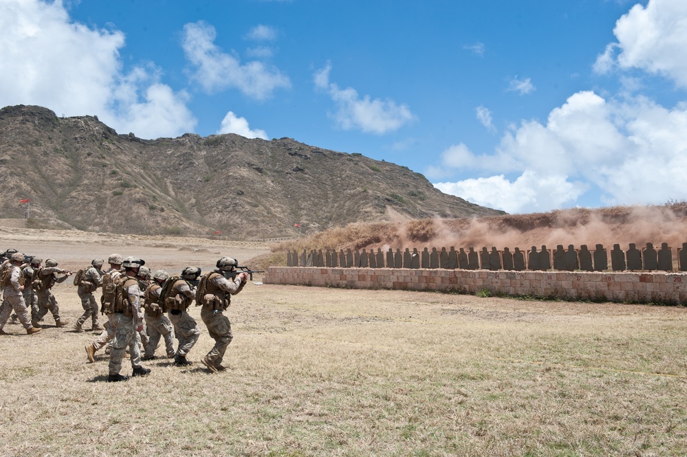 RIMPAC 2014 New Zealand ground training