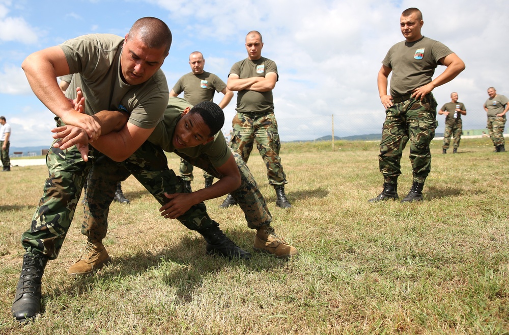 Marines teach Mechanical Arm-Control Hold techniques during Platinum Wolf 14