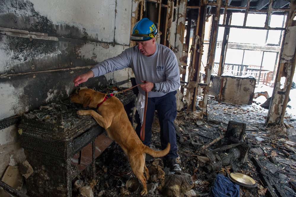 ATF Accelerant K-9 team