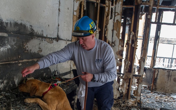 ATF Accelerant K-9 team