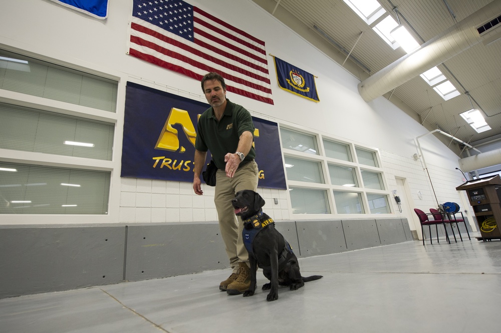 ATF K-9 team