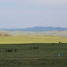 US Marines lead Mongolians during nine-day survivor course at KQ14