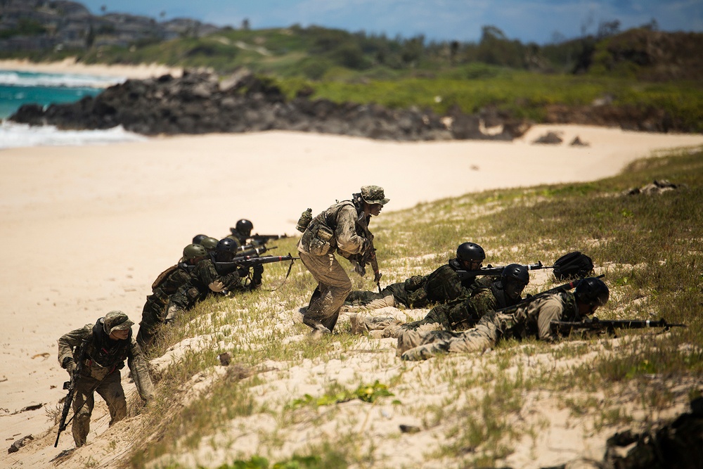 U.S. and Japan forces conduct amphib landing, assault beach