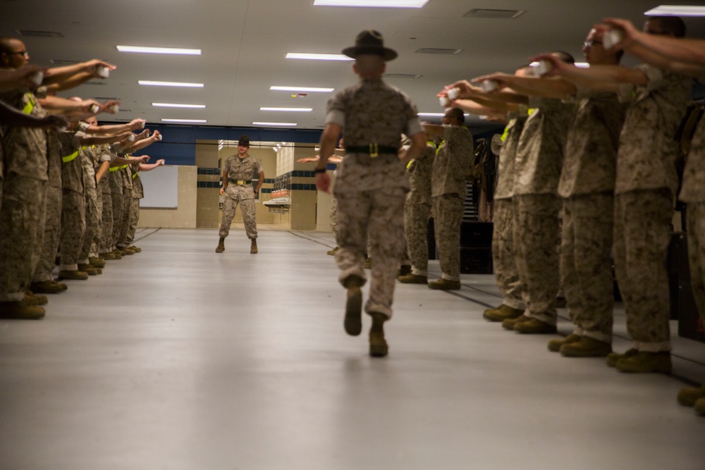 Photo Gallery: Marine recruits begin training before the sun rises on Parris Island