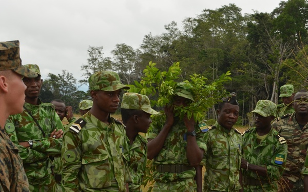 Marines, sailors partner with task force in Gabon