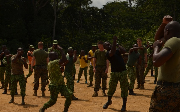 Marines, sailors partner with task force in Gabon