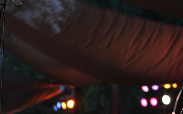 3rd MAW Band performs at Disneyland for Independence Day