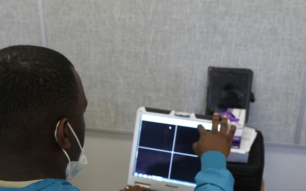 Dental hygienist checks X-ray