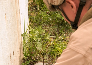 US Marine, Army EOD technicians test skills at Dragon Crab