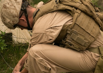 US Marine, Army EOD technicians test skills at Dragon Crab