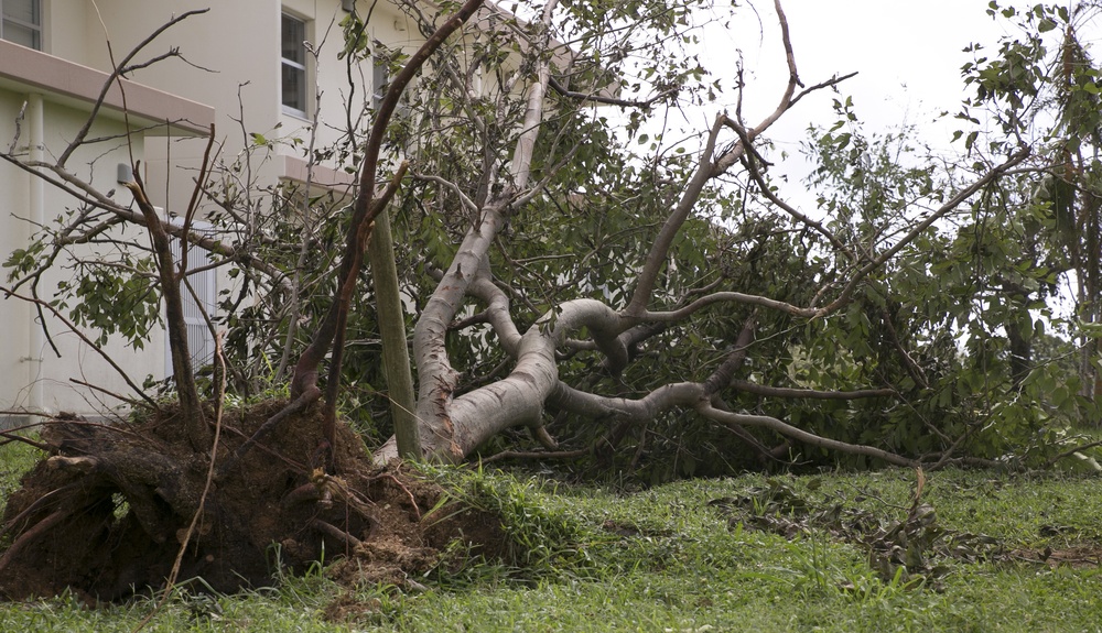 Typhoon Neoguri storms through Okinawa