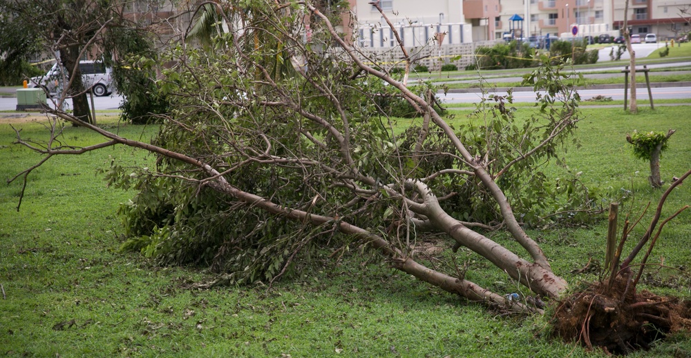 Typhoon Neoguri storms through Okinawa