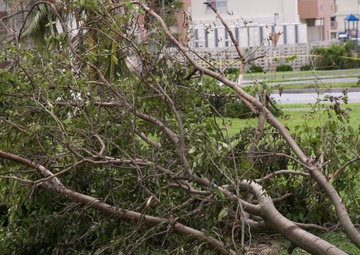 Typhoon Neoguri storms through Okinawa