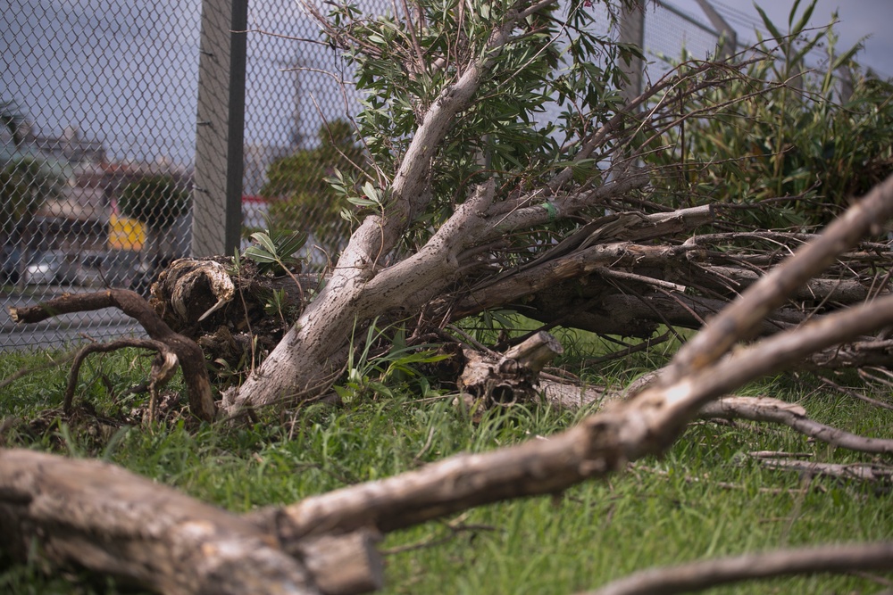 Typhoon Neoguri storms through Okinawa