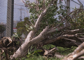 Typhoon Neoguri storms through Okinawa