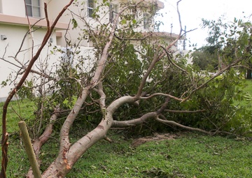 Typhoon Neoguri storms through Okinawa