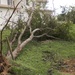 Typhoon Neoguri storms through Okinawa
