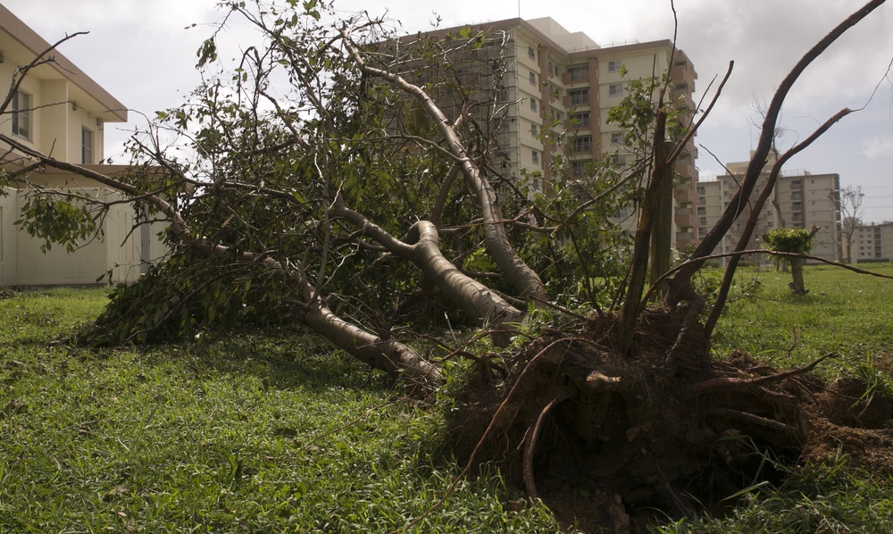 Typhoon Neoguri storms through Okinawa