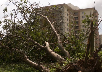 Typhoon Neoguri storms through Okinawa