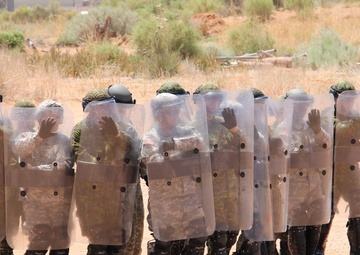 Canada joins Guardian Justice