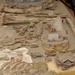 Table full of dinosaur bones