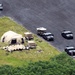 192nd Brigade Support Battalion convoy training