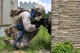 Paw Patrol: Military working dogs execute explosive detection training