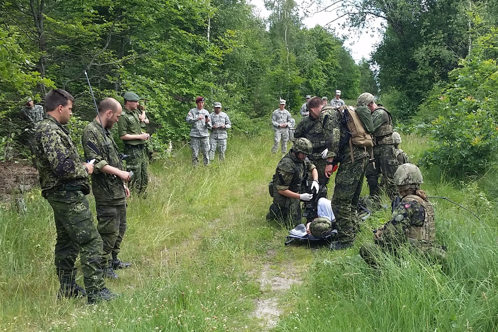 US Army Reserve and Guard soldiers participate in Danish exchange program