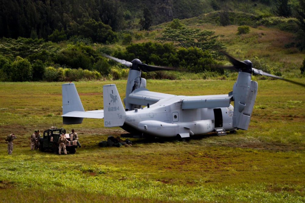 Marines get robot resupply in Hawaii during warfighting experiment