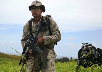 Meeting LS3: Marines experiment with military robotics