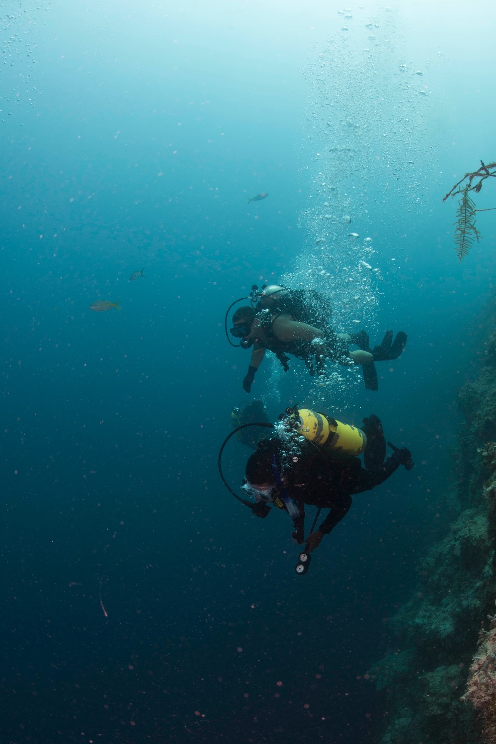 US Navy divers and Belizean Coast Guard divers work together during Southern Partnership Station '14