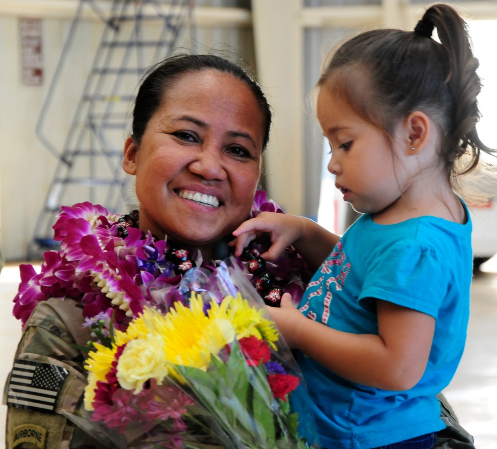 Hawaii Army National Guard Aviation unit returns from Afghanistan