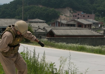 US Marine, Army EOD technicians compete at Dragon Crab