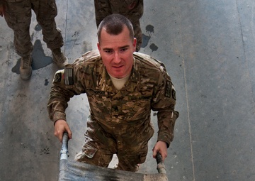 Loading a litter