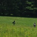 TACP help 164th Airlift Squadron perform ground survival training
