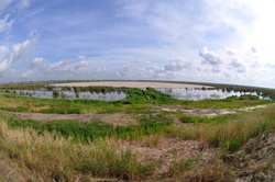 Bird Island - Savannah Harbor dredge disposal area 12A [Image 3 of 7]