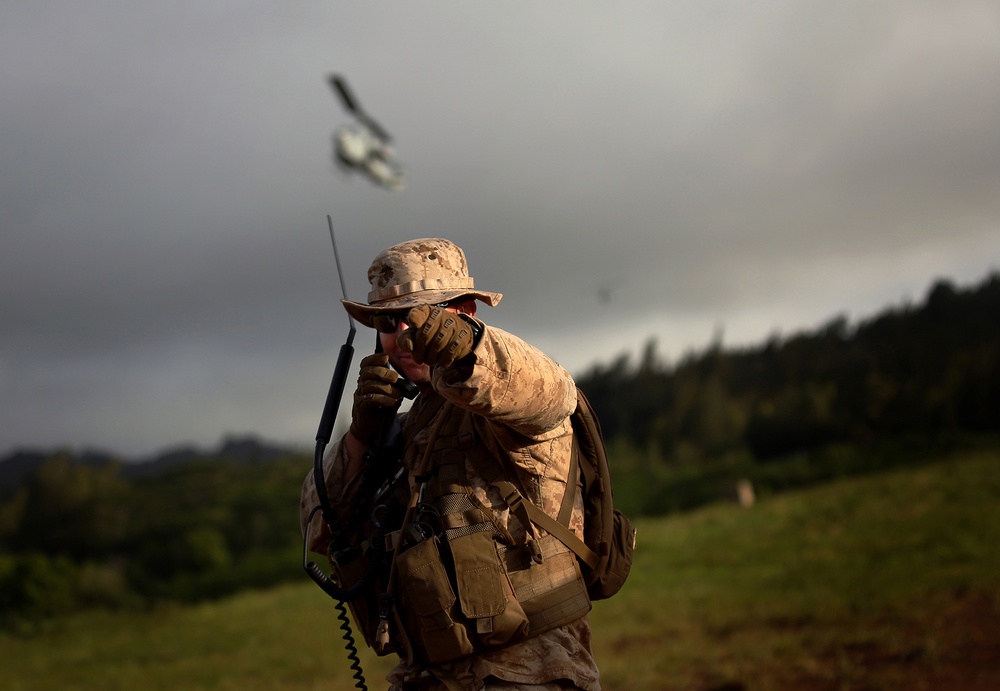 U.S. Marines conduct ground ops with foreign nations during RIMPAC